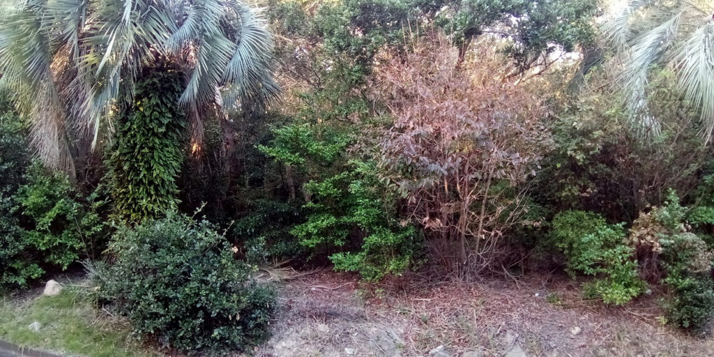 プライベートキャンプ場初期写真