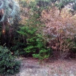 プライベートキャンプ場初期写真